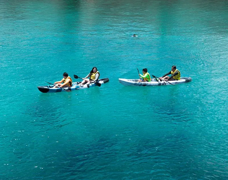 About Dolphinaris  carousel image 5