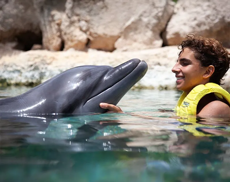 About Dolphinaris  carousel image 6