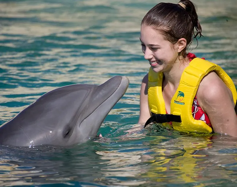 About Dolphinaris  carousel image 2