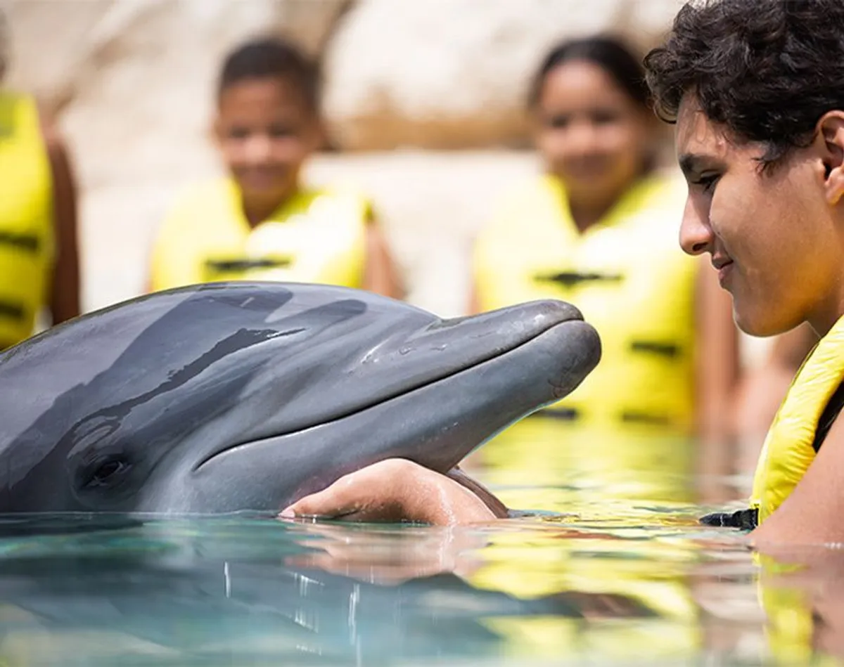 Dolphinaris Experience