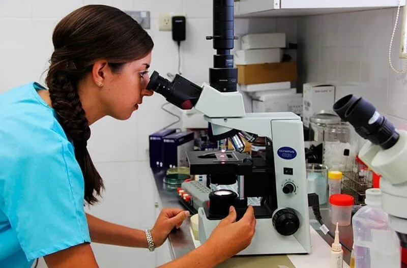 INVESTIGACION 2