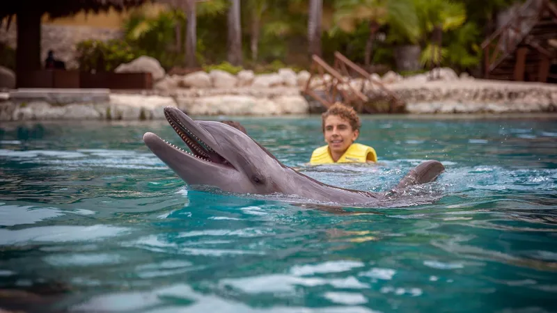 Dolphin Friendly Encounter