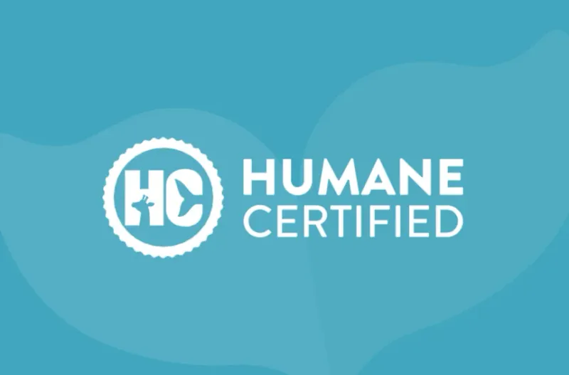 AHC